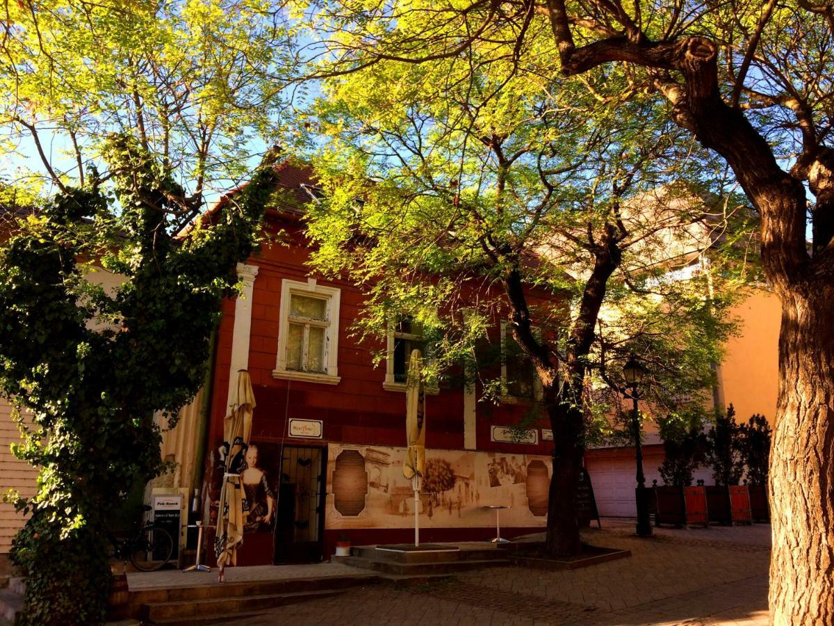 Eszterhazy Guesthouse Vác Εξωτερικό φωτογραφία