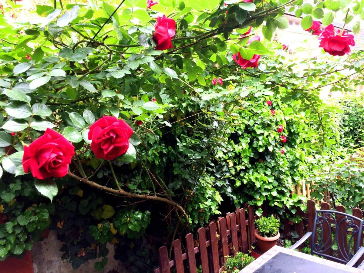 Eszterhazy Guesthouse Vác Εξωτερικό φωτογραφία